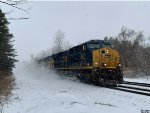 CSX 3017 on I020